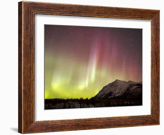 Red Aurora Borealis Over Carcross Dessert, Canada-Stocktrek Images-Framed Photographic Print