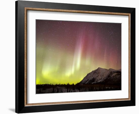 Red Aurora Borealis Over Carcross Dessert, Canada-Stocktrek Images-Framed Photographic Print