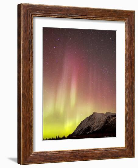 Red Aurora Borealis Over Carcross Dessert, Canada-Stocktrek Images-Framed Photographic Print