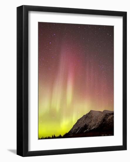 Red Aurora Borealis Over Carcross Dessert, Canada-Stocktrek Images-Framed Photographic Print