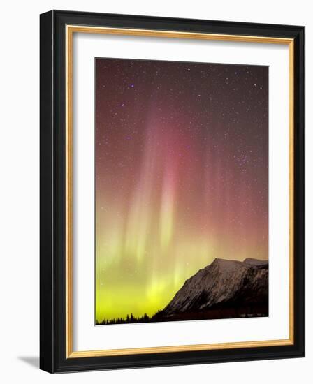 Red Aurora Borealis Over Carcross Dessert, Canada-Stocktrek Images-Framed Photographic Print