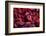 Red Autumn Leaves on a Wall, Background-null-Framed Photographic Print