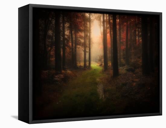 Red Autumn-Philippe Manguin-Framed Premier Image Canvas