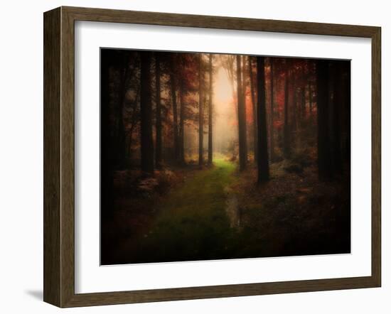 Red Autumn-Philippe Manguin-Framed Photographic Print