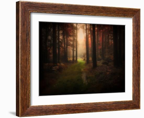 Red Autumn-Philippe Manguin-Framed Photographic Print