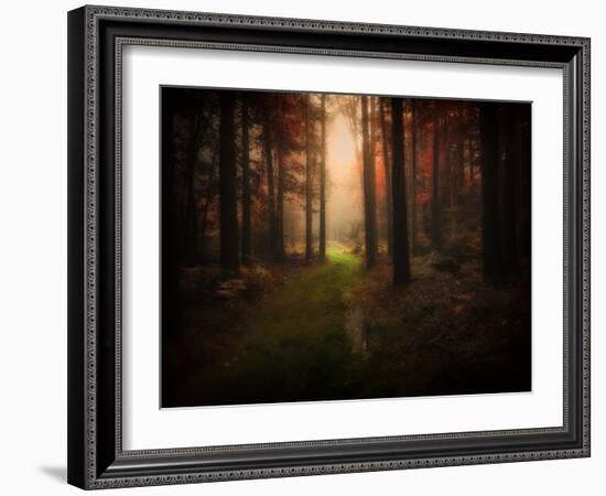 Red Autumn-Philippe Manguin-Framed Photographic Print