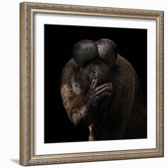 Red-Backed Bearded Saki Portrait - Chiropotes Chiropotes-Mathilde Guillemot-Framed Giclee Print