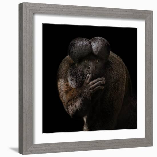 Red-Backed Bearded Saki Portrait - Chiropotes Chiropotes-Mathilde Guillemot-Framed Giclee Print