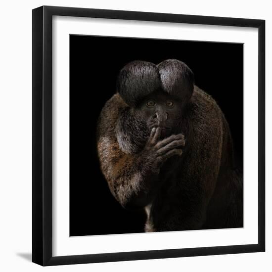 Red-Backed Bearded Saki Portrait - Chiropotes Chiropotes-Mathilde Guillemot-Framed Giclee Print