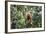 Red Bald-Headed Uakari Monkey also known as British Monkey (Cacajao Calvus Rubicundus), Brazil-G&M Therin-Weise-Framed Photographic Print