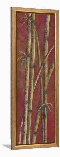 Red Bamboo I-Patricia Pinto-Framed Stretched Canvas