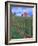 Red Barn Above Vineyard, Dry Creek Valley, California, USA-John Alves-Framed Photographic Print