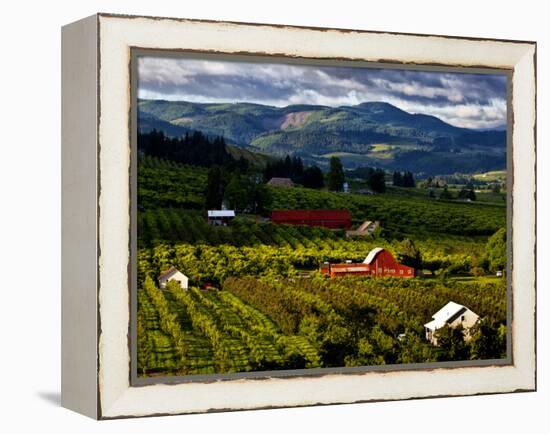 Red Barn Amid Orchards, Hood River, Oregon, USA-Jaynes Gallery-Framed Premier Image Canvas