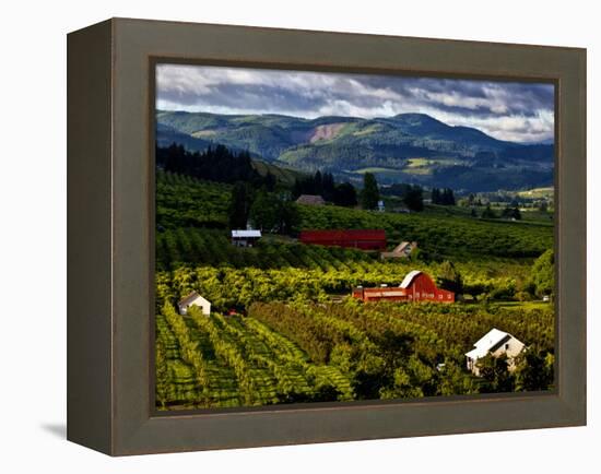 Red Barn Amid Orchards, Hood River, Oregon, USA-Jaynes Gallery-Framed Premier Image Canvas
