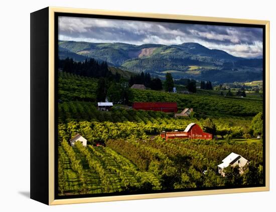 Red Barn Amid Orchards, Hood River, Oregon, USA-Jaynes Gallery-Framed Premier Image Canvas