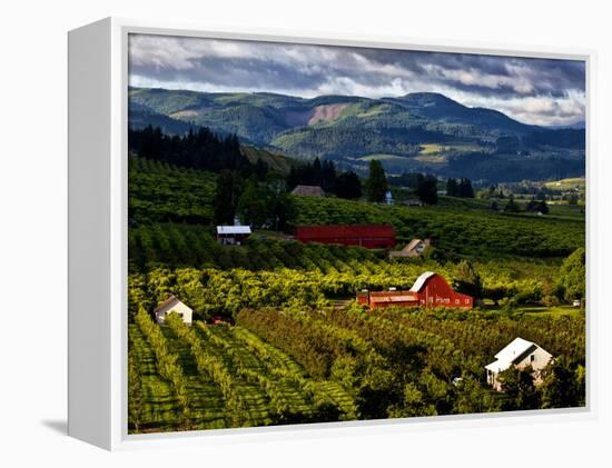 Red Barn Amid Orchards, Hood River, Oregon, USA-Jaynes Gallery-Framed Premier Image Canvas