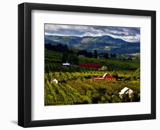 Red Barn Amid Orchards, Hood River, Oregon, USA-Jaynes Gallery-Framed Photographic Print