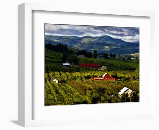 Red Barn Amid Orchards, Hood River, Oregon, USA-Jaynes Gallery-Framed Photographic Print