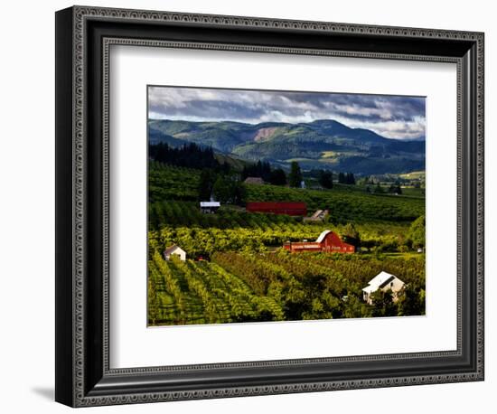 Red Barn Amid Orchards, Hood River, Oregon, USA-Jaynes Gallery-Framed Photographic Print