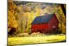 Red Barn and Autumn Foliage, Kent, Connecticut.-Sabine Jacobs-Mounted Photographic Print