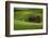 Red Barn and Manicured Fields in Moscow, Latah County, Idaho, USA-Michel Hersen-Framed Photographic Print