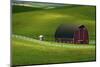 Red Barn and Manicured Fields in Moscow, Latah County, Idaho, USA-Michel Hersen-Mounted Photographic Print