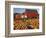 Red Barn and Pumpkin Display in Willamette Valley, Oregon, USA-Jaynes Gallery-Framed Photographic Print