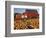 Red Barn and Pumpkin Display in Willamette Valley, Oregon, USA-Jaynes Gallery-Framed Photographic Print