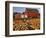 Red Barn and Pumpkin Display in Willamette Valley, Oregon, USA-Jaynes Gallery-Framed Photographic Print