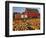 Red Barn and Pumpkin Display in Willamette Valley, Oregon, USA-Jaynes Gallery-Framed Photographic Print