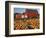 Red Barn and Pumpkin Display in Willamette Valley, Oregon, USA-Jaynes Gallery-Framed Photographic Print