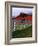 Red Barn and White Fence on Farm, Scott County, Virginia, USA-Jaynes Gallery-Framed Photographic Print