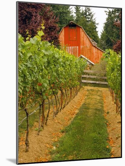 Red Barn at a Winery and Vineyard on Whidbey Island, Washington, USA-Richard Duval-Mounted Photographic Print