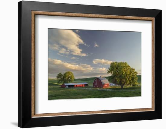 Red Barn at Sunset, Palouse Region of Eastern Washington-Adam Jones-Framed Photographic Print