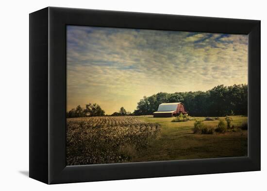 Red Barn at the Cotton Field-Jai Johnson-Framed Premier Image Canvas
