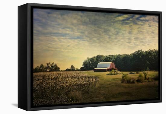 Red Barn at the Cotton Field-Jai Johnson-Framed Premier Image Canvas