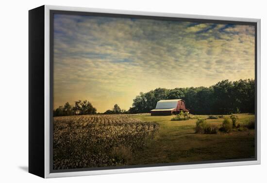 Red Barn at the Cotton Field-Jai Johnson-Framed Premier Image Canvas