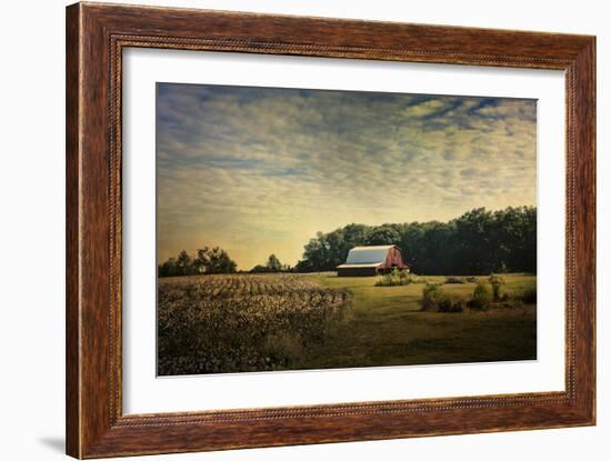 Red Barn at the Cotton Field-Jai Johnson-Framed Giclee Print