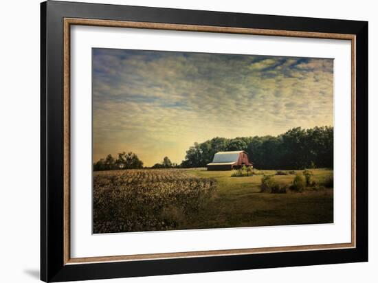 Red Barn at the Cotton Field-Jai Johnson-Framed Giclee Print