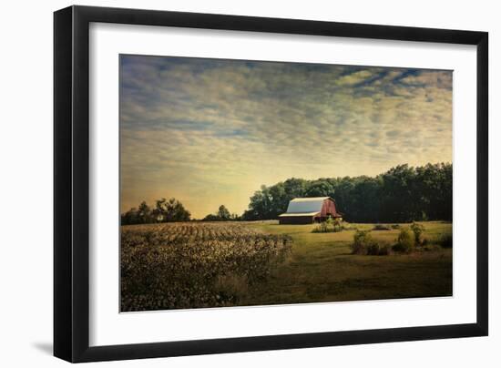 Red Barn at the Cotton Field-Jai Johnson-Framed Giclee Print