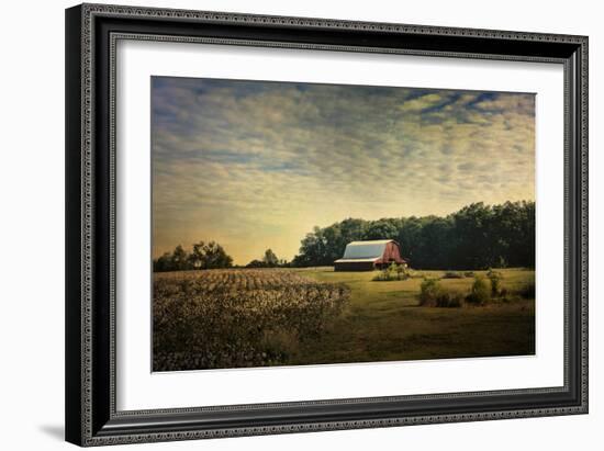 Red Barn at the Cotton Field-Jai Johnson-Framed Giclee Print