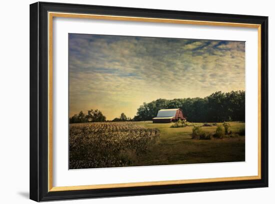 Red Barn at the Cotton Field-Jai Johnson-Framed Giclee Print