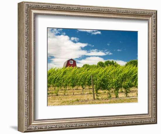 Red Barn at Va Piano Vineyards, Walla Walla, Washington, USA-Richard Duval-Framed Photographic Print