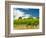 Red Barn at Va Piano Vineyards, Walla Walla, Washington, USA-Richard Duval-Framed Photographic Print