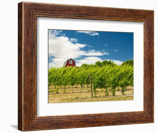 Red Barn at Va Piano Vineyards, Walla Walla, Washington, USA-Richard Duval-Framed Photographic Print