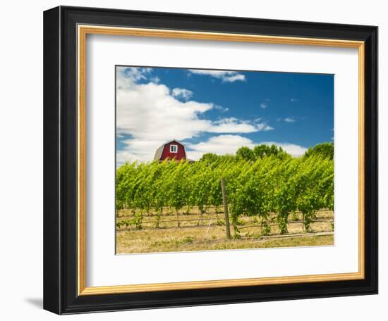Red Barn at Va Piano Vineyards, Walla Walla, Washington, USA-Richard Duval-Framed Photographic Print