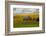 Red Barn, Hay Bales, Albion, Palouse Area, Washington, USA-Michel Hersen-Framed Photographic Print