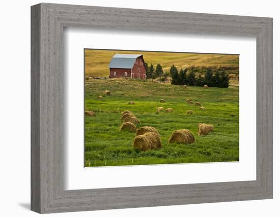 Red Barn, Hay Bales, Albion, Palouse Area, Washington, USA-Michel Hersen-Framed Photographic Print