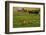 Red Barn, Hay Bales, Albion, Palouse Area, Washington, USA-Michel Hersen-Framed Photographic Print