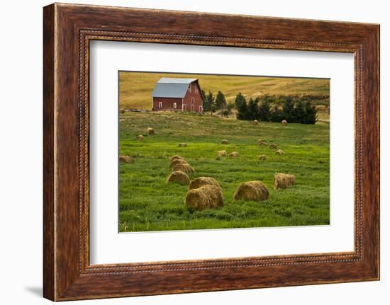 Red Barn, Hay Bales, Albion, Palouse Area, Washington, USA-Michel Hersen-Framed Photographic Print